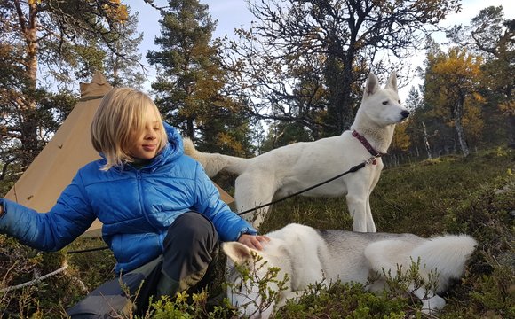 Art of Adventures egna sibirian huskies